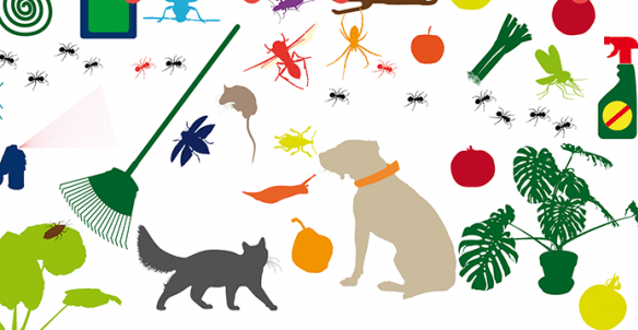 animais