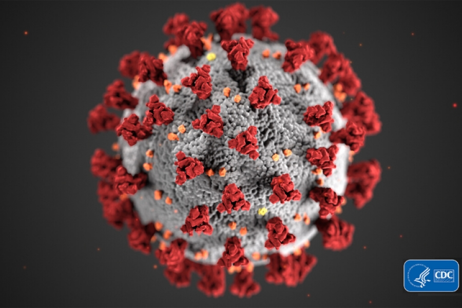 Virus da Covid - Sars-Cov-2