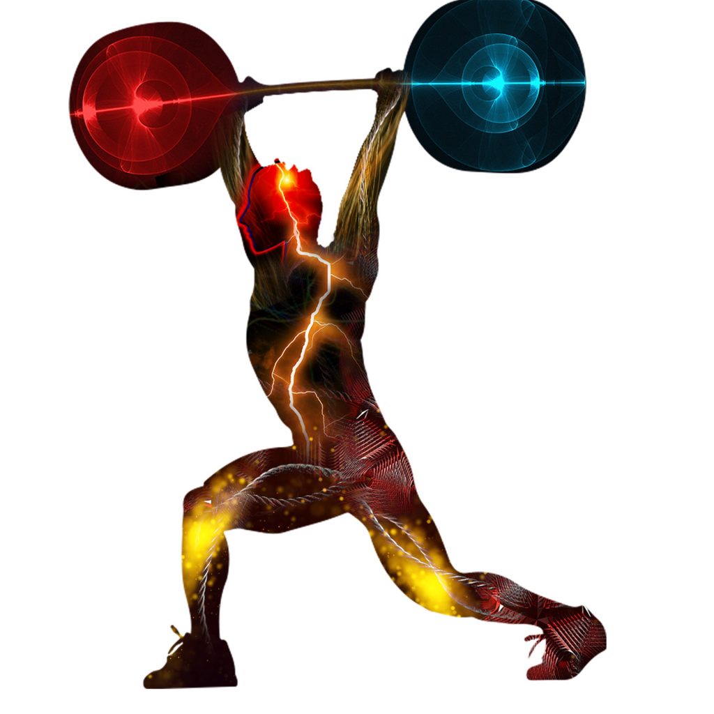 Musculos