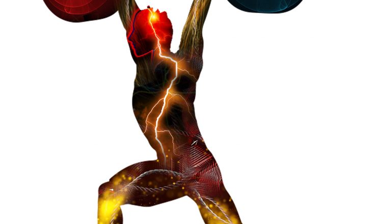 Musculos