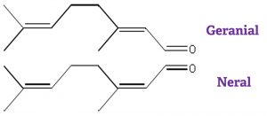 Estrutura química Geranial e Neral