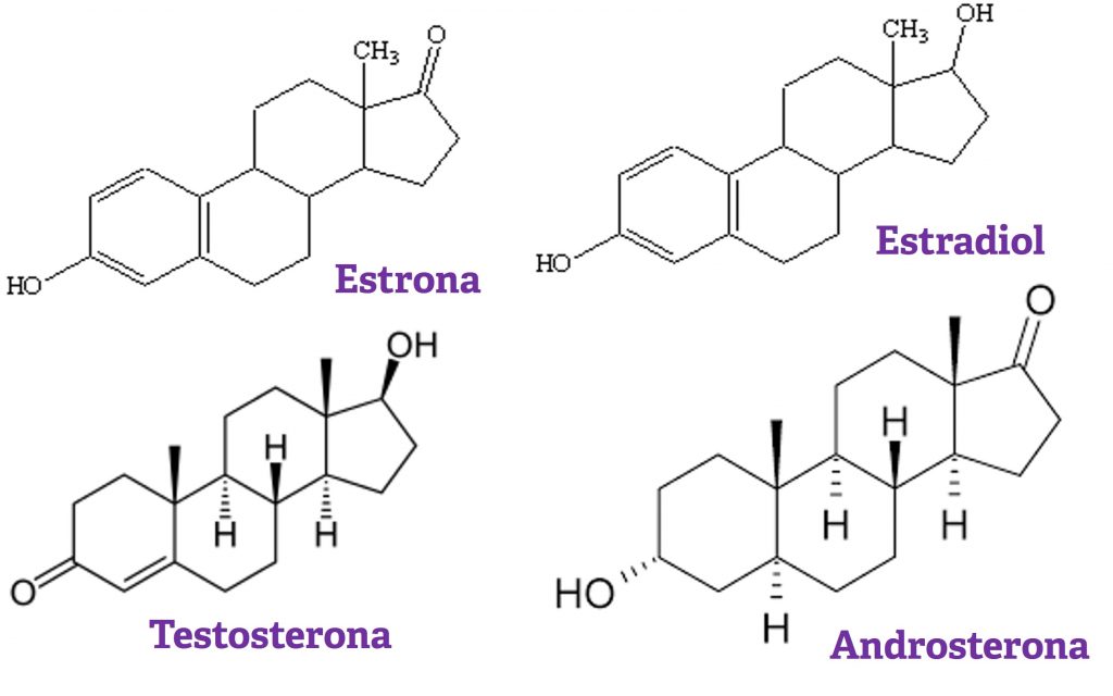 hormonios