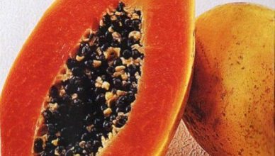 Mamão rico em beta caroteno