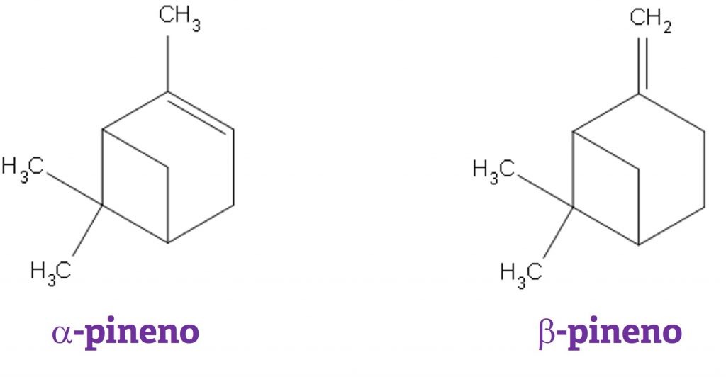 estrutura química alfa-pineno e beta-pineno