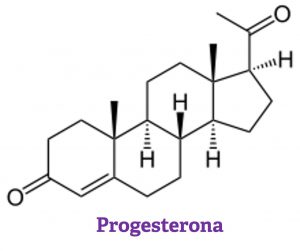 Progesterona