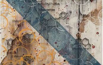 Chemical Still life 45 Degree Angle 2