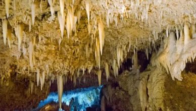 caverna harrison