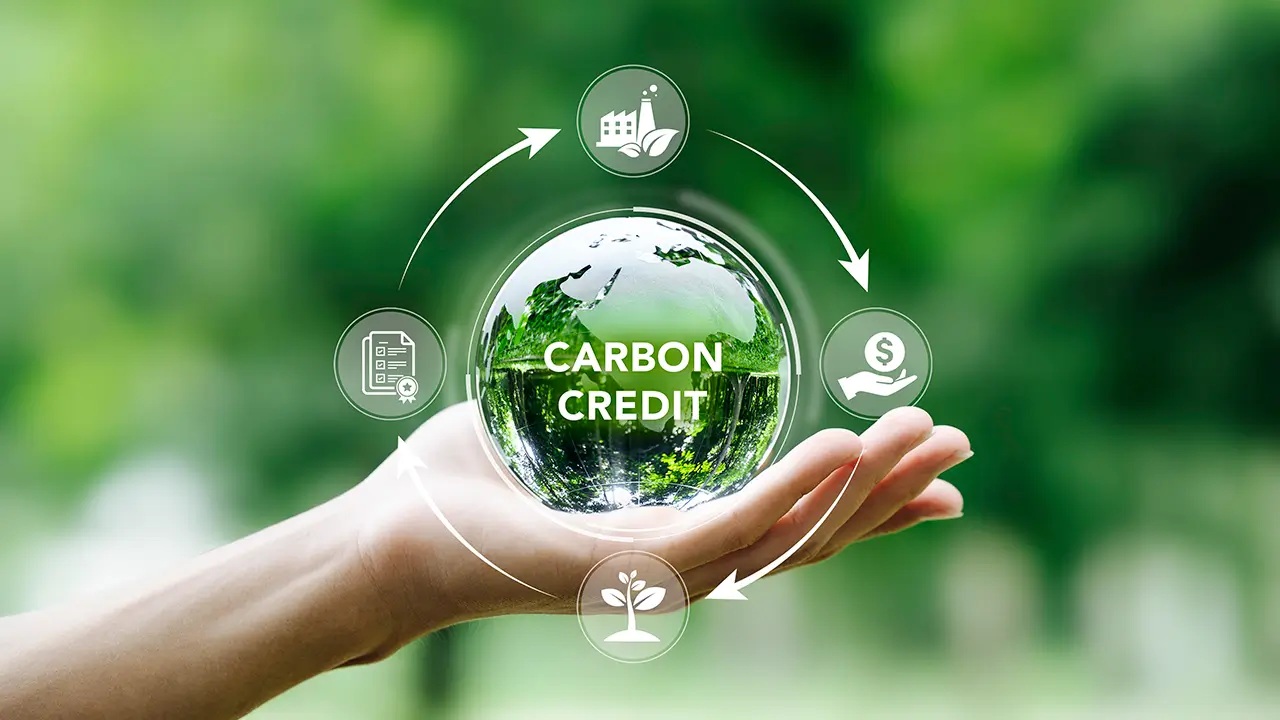 Créditos de Carbono na Luta Contra as Mudanças Climáticas